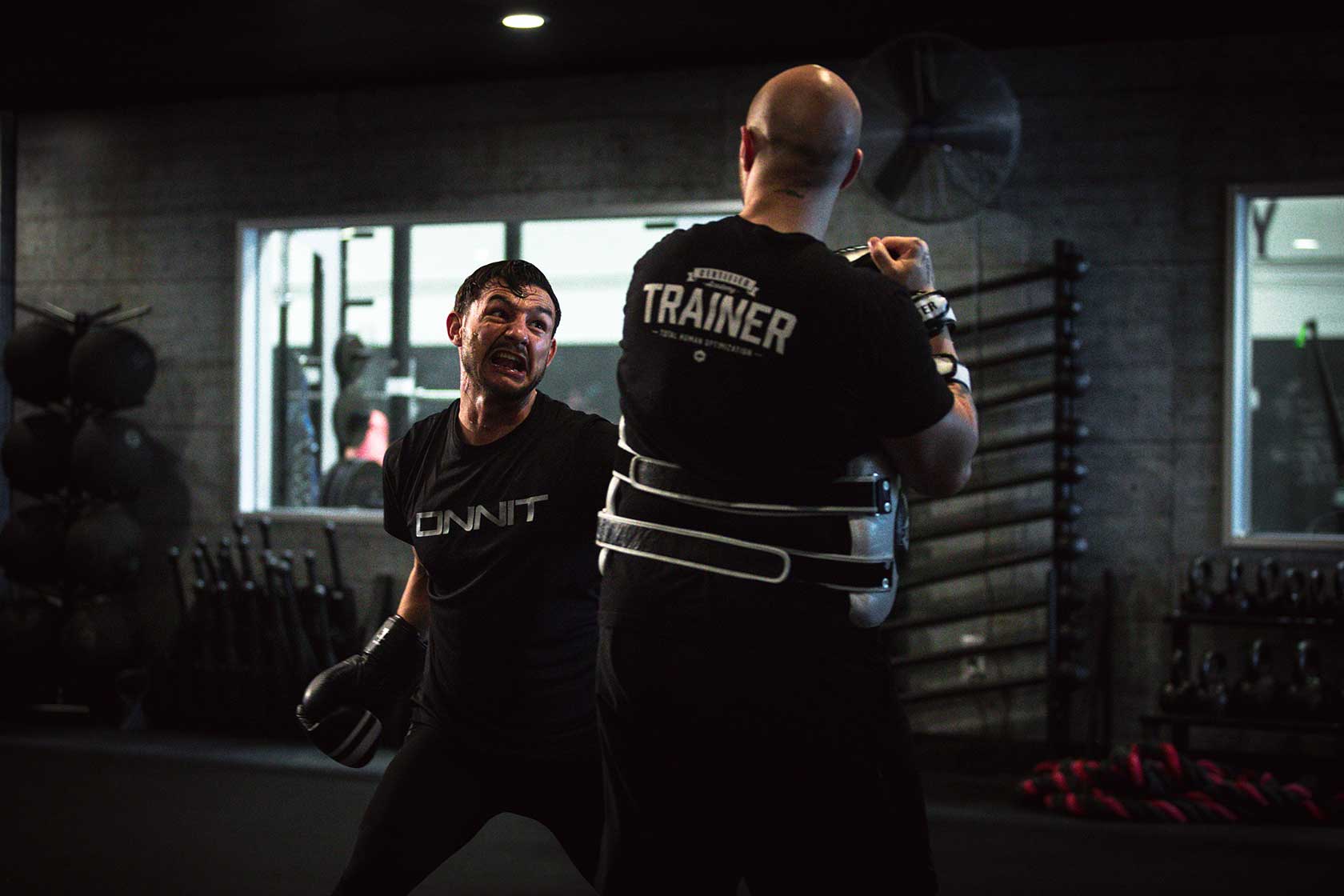 Shroom TECH Sport Shows Significant Results In Flagship Clinical Trial At FSU